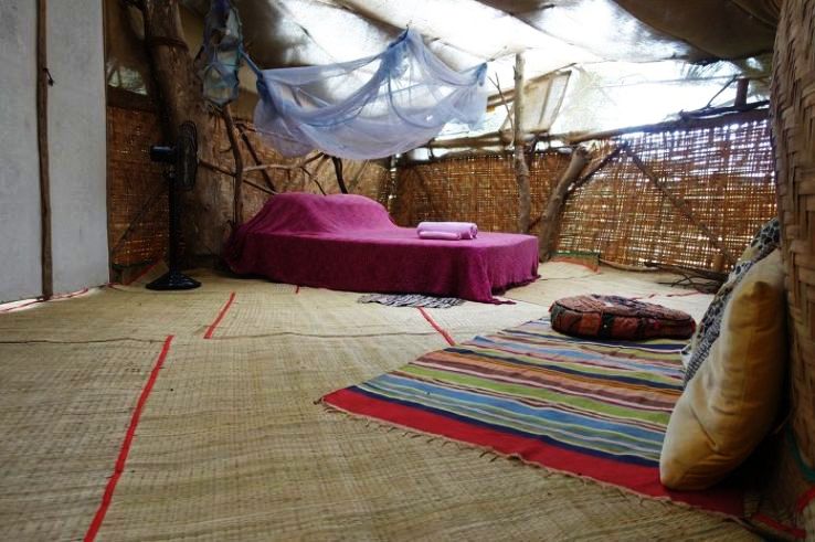 B  Options for living there